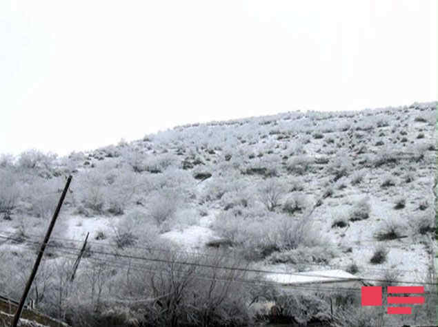 Lerikə ilk qar yağdı - FOTO